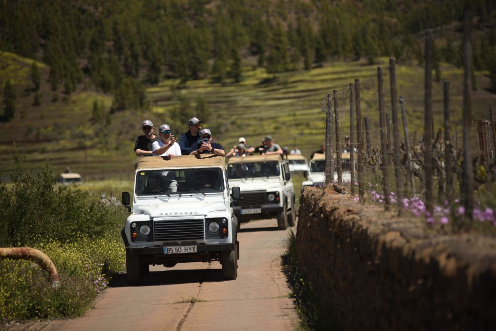 Kolonne offener Geländewagen auf einem Feldweg zwischen Weinreben und bewaldeten Hängen, die Gäste auf der Ladefläche fotografieren die Landschaft.